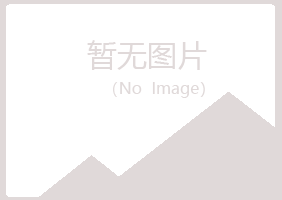 曲阜盼夏金融有限公司